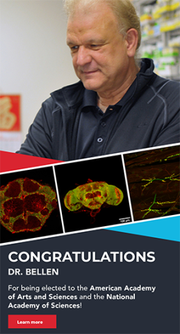 Bellen Congratulations