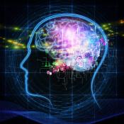 How having too much or too little of CHRNA7 can lead to neuropsychiatric disorders 