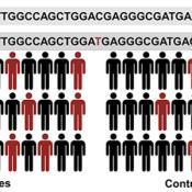 Fruit flies can help solve complex genetic diseases