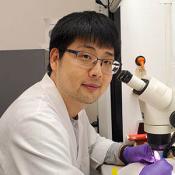Dr. Hyunglok Chung announced as a winner of the 2021 Warren Alpert Distinguished Scholars Award 