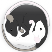 Afraid of food? The answer may be in the basal forebrain