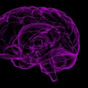Meningioma molecular profile can predict tumor recurrence