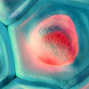 Research reveals defective transport of lysosomal enzymes causes a type of Batten disease 
