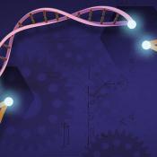 New computational tool improves gene identification
