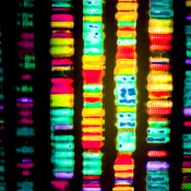 Researchers discover new intellectual disability syndrome