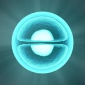 Solving the CLN6 mystery in Batten's disease