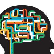 McGinley lab featured in the Wall Street Journal