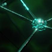 Global Collaboration: mapping the whole human brain