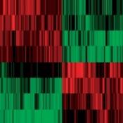 NRI researchers develop a rat model of Rett Syndrome