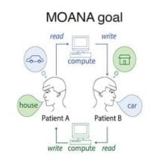 McGinley and Arenkiel involved in an exciting DARPA-funded project