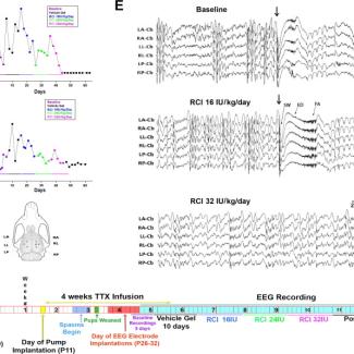Acthar® Gel (RCI) suppresses spasms in the TTX animal model of infantile spasms
