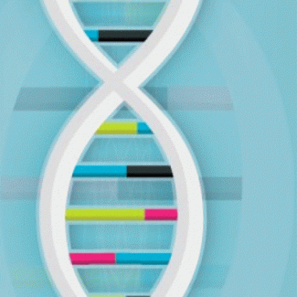 An inaugural family conference for Bosch-Boonstra-Schaaf Optic Atrophy Syndrome brings together key stakeholders