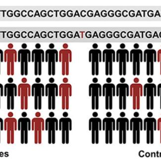Fruit flies can help solve complex genetic diseases