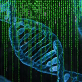 Fruit fly study uncovers functional significance of gene mutations associated with autism