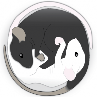 Afraid of food? The answer may be in the basal forebrain