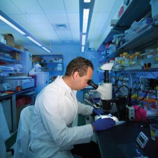 Dr. Christian Schaaf featured in TMC News