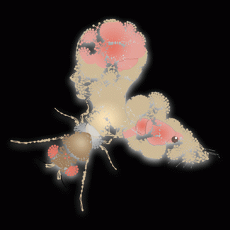 A new integrative approach finds viable therapeutic targets for Huntington's disease