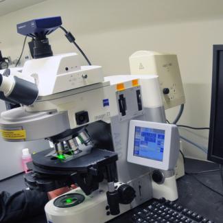 Discovery improves understanding of Lou Gehrig's disease