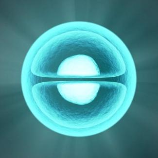 Solving the CLN6 mystery in Batten's disease