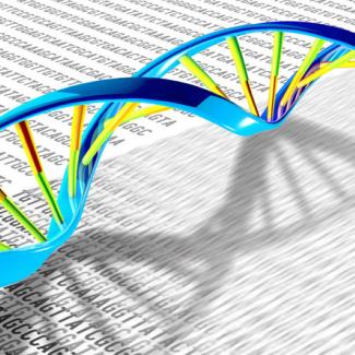 Undiagnosed Diseases Network finds 31 new syndromes